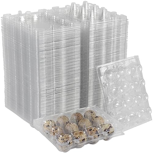 NAMYEUT 50 Stück Wachteleierschachteln 12er Plastik, Eierschachtel Wachteleier Kunststoff Transparente Wachteleierkarton für für Kühlschrank von NAMYEUT