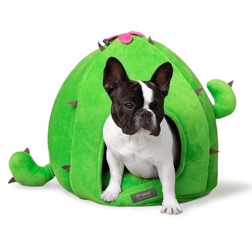 NANDOG Haustierbett Kaktus in Grün – Ultraweiches Mikroplüschmaterial – lustiges & einzigartiges Design mit Schaumstoff-Konstruktion – ideal für Katzen & kleine/mittelgroße Hunde NANDOG Haustierbett Kaktus in Grün – Ultraweiches Mikroplüschmaterial – lustiges & einzigartiges Design mit Schaumstoff-Konstruktion – ideal für Katzen & kleine/mittelgroße Hunde von NANDOG