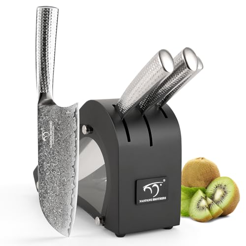 NANFANG BROTHERS Damaskus Küchenmesser Set VG10 Stahl 67 Lagen Superior, Damaskus Kochmesser mit gehämmerten Griffen und Holzblock-Schwarz von NANFANG BROTHERS