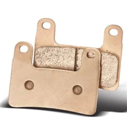 NANGAEBPPW Bremsbacken Für B&MW R1250GS R 1250GS R1250 GS R 1250 GS 2019 2020 Motorrad-Metallsinterbremsbelag(Vorderseite) von NANGAEBPPW