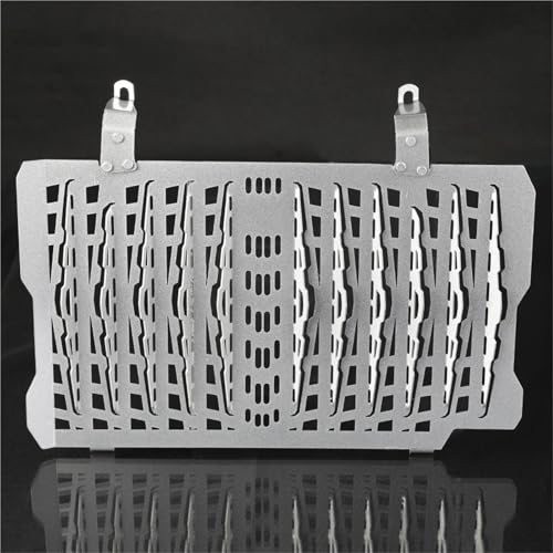 NARDEDP Kühlergrill Grill Schutz Protector Abdeckung Teile Kompatibel Mit F900GS Abenteuer F900 F 900 GS 900 GS900 ADV 2024 2025(C2) von NARDEDP