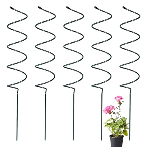 5pcs Tomatenstöcke, 15, 8 Zoll wetterresistente grüne Beschichtung verdrehte Pflanzenstütze, Wiederverwendbare Metall-Spiralschlangen für Kletterpflanzen-Tomaten-Rosenrebe 5pcs Tomatenstöcke, 15, 8 Zoll wetterresistente grüne Beschichtung verdrehte Pflanzenstütze, Wiederverwendbare Metall-Spiralschlangen für Kletterpflanzen-Tomaten-Rosenrebe von NASSMOSSE