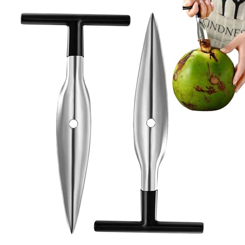 Edelstahl -Kokosnussöffner 2 PCs von NASSMOSSE