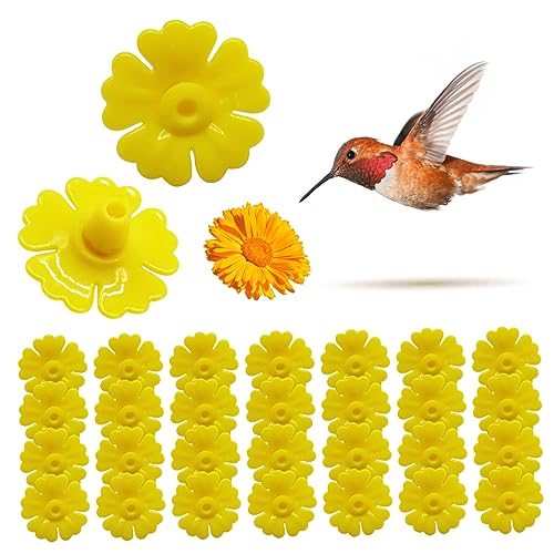 NASSMOSSE Hummingbird -Feeder -Teile 30pcs 1.2in polygonale Kolibri -Feeder Ersatzblüten Kunststoff wasserdichte Bienenwächter für Gelb NASSMOSSE Hummingbird -Feeder -Teile 30pcs 1.2in polygonale Kolibri -Feeder Ersatzblüten Kunststoff wasserdichte Bienenwächter für Gelb von NASSMOSSE
