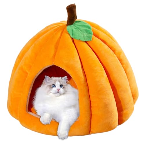 NASSMOSSE Katzenhöhle Kürbisform Halloween Katzenhöhle Bett Geschlossenes Thermisches Katzenhaus Weich Bequem Rutschfest Feuchtigkeitsfest Katzenbetten für Indoor-Katzen, L NASSMOSSE Katzenhöhle Kürbisform Halloween Katzenhöhle Bett Geschlossenes Thermisches Katzenhaus Weich Bequem Rutschfest Feuchtigkeitsfest Katzenbetten für Indoor-Katzen, L von NASSMOSSE