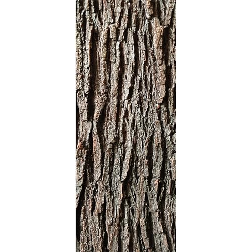 NASSMOSSE Künstliche Baumrinde, 1x0,4 m realistische falsche Rinde für Säulen und Rohre, Cutable -Simulation für Säule, Wand- und Bodendekoration von NASSMOSSE