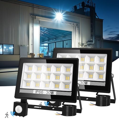NATPOW Led Strahler mit Bewegungsmelder außen, 30W LED Strahler Fluter mit IP66 Wasserdicht 6000K Superhell Scheinwerfer Außenstrahler für Garten Garage Sportplatz Hinterhof(2 Stk) von NATPOW