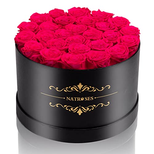 NATROSES 27 Stück Forever konservierte Rosen in einer Box, konservierte Blumen für Lieferung Geburtstag, Blumen Geschenke für Muttertag, Hot Pink NATROSES 27 Stück Forever konservierte Rosen in einer Box, konservierte Blumen für Lieferung Geburtstag, Blumen Geschenke für Muttertag, Hot Pink von NATROSES