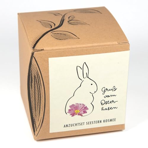 Blumige Ostergrüße - Geschenk-Anzuchtset Seestern Kosmee Blumige Ostergrüße - Geschenk-Anzuchtset Seestern Kosmee von NATUR KRAFTWERK