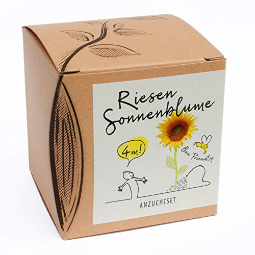Geschenk-Anzuchtset Riesensonnenblume Geschenk-Anzuchtset Riesensonnenblume von NATUR KRAFTWERK