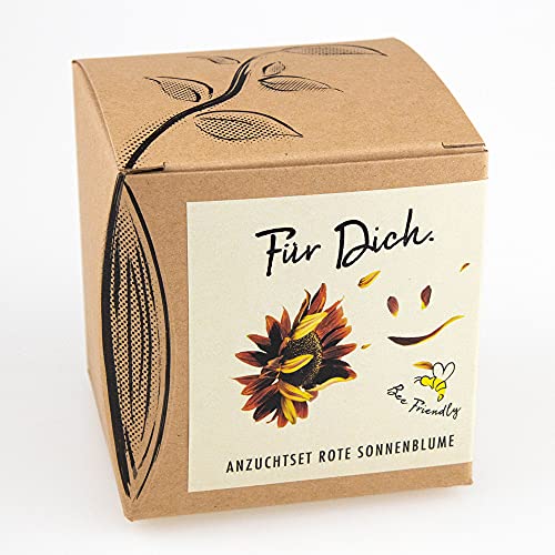 NATUR KRAFTWERK 503 Geschenk-Anzuchtset, neutral NATUR KRAFTWERK 503 Geschenk-Anzuchtset, neutral von NATUR KRAFTWERK