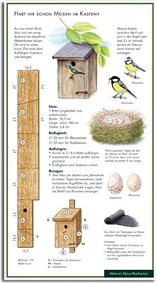 Habt ihr schon Meisen im Kasten - Blaumeise - Kohlmeise - Bauanleitung für einen Meisenkasten - Nistkasten - Wawra Naturpostkarte Nr.15 zum Entdecken, Beobachten, Bestimmen - 22 cm x 12 cm von NATUR-VERLAG WAWRA