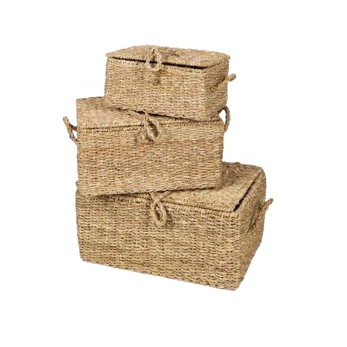 NATURAL LIVING " 3-TEILIGES SET AUS MEERESALGENKOFFERN" H15CM/H20CM/H25CM von NATURAL LIVING