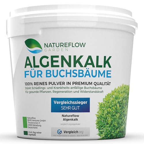 TESTSIEGER Bio Algenkalk für Buchsbäume – Widerstandskraft und Regeneration für anfällige Buchsbäume (Buchsbaumzünsler) - Premium Buchsbaum Dünger und Spritzmittel - Buchsbaumdünger 1kg von NATUREFLOW