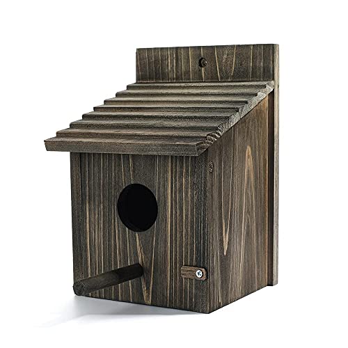 Holz Vogelhaus Holz Vogelhaus für Außen mit Stange für Finken, Bluebird, Kardinals, Vogelhaus zum Aufhängen Garten Landhäuser Vogelhaus von NATUREYLWL