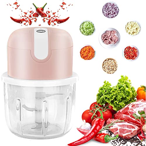 NAUDILIFE Zerkleinerer Küche elektrisch, 300ml In 3 Sekunden hacken, Mini angel Kabellos Zwiebelschneider USB,mit Glasbehälter,Geeignet für Zwiebel/Obst/Nüsse/Fleisch /, JRQ-240 von NAUDILIFE