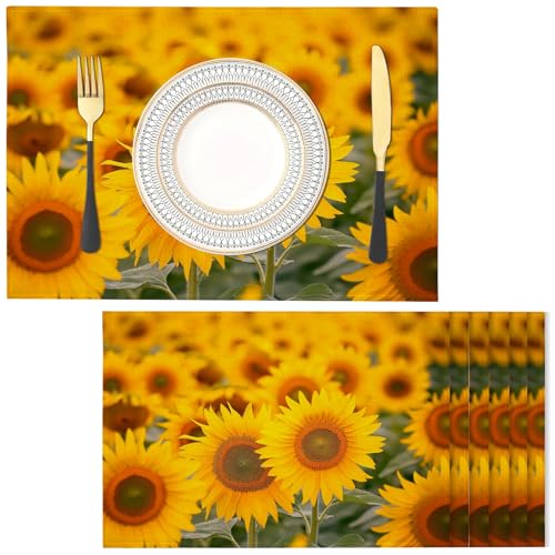 Sonnenblume Platzsets 2er Set, 30x45cm Couchtisch Urlaub Tischsets Blumenfeld Waschbar Platzdeckchen Küche Party Deko Baumwolle Leinen Tischsets von NAWVNMI