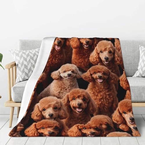 NBAGHPQ Dicke Decke mit rotem Pudel-Motiv, für Bett, Camping, Reisen, Flanell, leicht, warm, bequem, Couch von NBAGHPQ