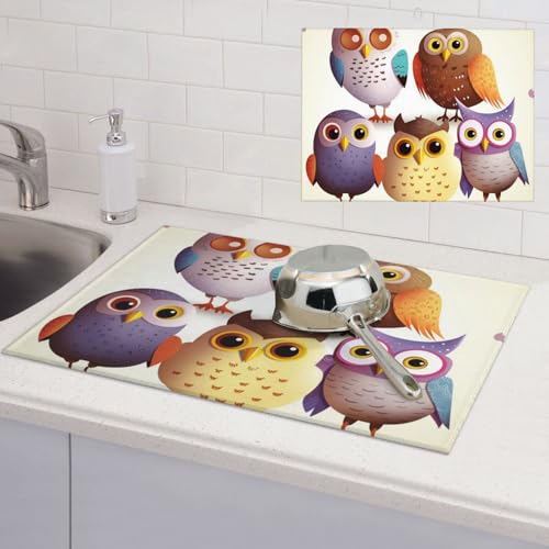 Abtropfmatte mit Eulen, Vögeln, super saugfähig, Mikrofaser, Abtropfmatte für Küchentheke, großes Geschirr, leicht zu reinigen, Mehrzweck-Abtropfmatte, 61 x 45 cm von NBSKSDLK