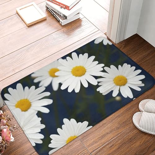 Fußmatte mit Gänseblümchen-Motiv, strapazierfähig, für drinnen und draußen, rutschfest, saugfähig, Schmutzfänger, Eingangsteppich, flaches Profil, waschbar, Fußmatten, Flanell-Badematte, 40,6 x 61 cm Fußmatte mit Gänseblümchen-Motiv, strapazierfähig, für drinnen und draußen, rutschfest, saugfähig, Schmutzfänger, Eingangsteppich, flaches Profil, waschbar, Fußmatten, Flanell-Badematte, 40,6 x 61 cm von NBSKSDLK