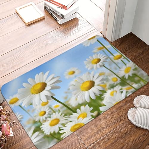 Fußmatte mit Gänseblümchen-Motiv, strapazierfähig, für drinnen und draußen, rutschfest, saugfähig, Schmutzfänger, Eingangsteppich, flaches Profil, waschbar, Fußmatten, Flanell-Badematte, 40,6 x 61 cm Fußmatte mit Gänseblümchen-Motiv, strapazierfähig, für drinnen und draußen, rutschfest, saugfähig, Schmutzfänger, Eingangsteppich, flaches Profil, waschbar, Fußmatten, Flanell-Badematte, 40,6 x 61 cm von NBSKSDLK