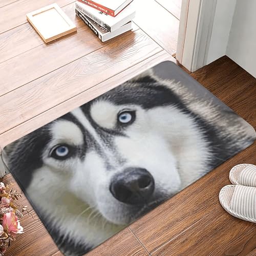 Husky Hunde-Fußmatte, strapazierfähig, für drinnen und draußen, rutschfest, saugfähig, Schmutzfänger, Eingangsteppich, flaches Profil, waschbar, Fußmatten, Flanell-Badematte, 40,6 x 61 cm Husky Hunde-Fußmatte, strapazierfähig, für drinnen und draußen, rutschfest, saugfähig, Schmutzfänger, Eingangsteppich, flaches Profil, waschbar, Fußmatten, Flanell-Badematte, 40,6 x 61 cm von NBSKSDLK