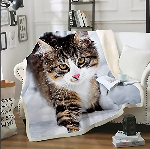 NBVGHJ Katze Haustier Decke 3D Print Plüsch Decke Schlafsofa Stuhl Rest Tagesdecke Home Family Fleece Decor Dünne Steppdecke 230×200CM von NBVGHJ