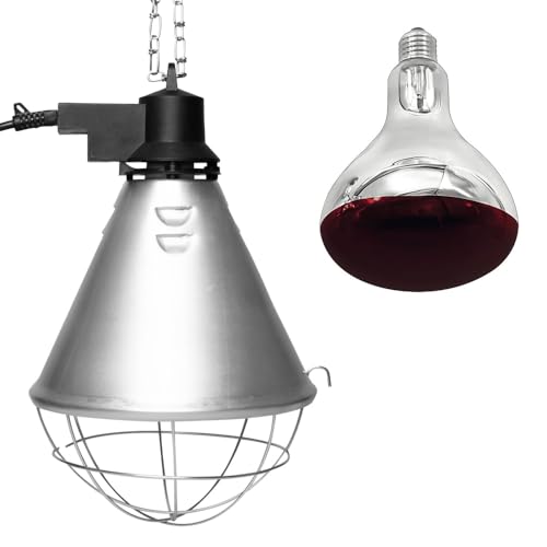 NCC-Licht Aufzuchtleuchte Wärmelampe Wärmestrahler Infrarot Rotlicht BR125 250W Rot für Tiere Hühner Ferkel Schutzkorb 2,5m Kabel & Stecker NCC-Licht Aufzuchtleuchte Wärmelampe Wärmestrahler Infrarot Rotlicht BR125 250W Rot für Tiere Hühner Ferkel Schutzkorb 2,5m Kabel & Stecker von NCC-Licht