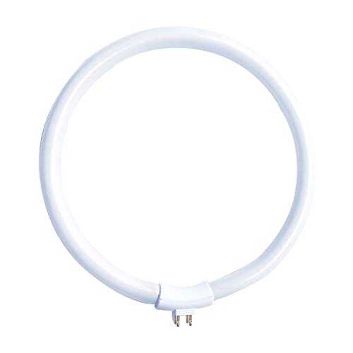 NCC-Licht Leuchtstofflampe Ring Röhre T4 22W/865 kaltweiß 6500K Tageslicht G10q außen 4 Pins von NCC-Licht