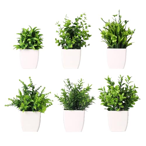 NCCHDZSW Künstliche Pflanzen 6 Pcs Mini Künstliche Pflanzen Kunstpflanze Klein mit Topf Kunststoff Gefälschte Pflanzen, Künstliche Zimmerpflanzen für Schlafzimmer Badezimmer Küchen Zuhause Innen Deko NCCHDZSW Künstliche Pflanzen 6 Pcs Mini Künstliche Pflanzen Kunstpflanze Klein mit Topf Kunststoff Gefälschte Pflanzen, Künstliche Zimmerpflanzen für Schlafzimmer Badezimmer Küchen Zuhause Innen Deko von NCCHDZSW