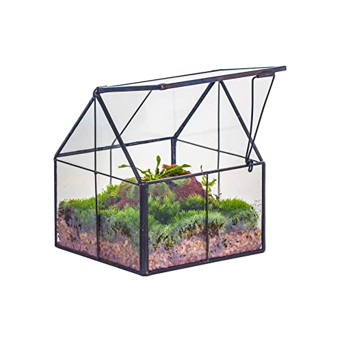 NCYP 10,8x10,8x12,5 cm Geometrisches Mini Pflanzenterrarium aus Glas mit Deckel, Schwarz Übertopf für kleine Sukkulenten Luftpflanzen, Handgefertigt Heimgarten Büro Tischdekoration (Nur Terrarium) von NCYP