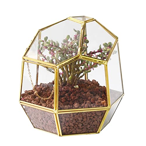 NCYP 19 cm Kleines, Geometrisches Glas-Terrarium mit Tür, Tischplatte aus Messing, unregelmäßiger Übertopf für Sukkulenten-Kakteenpflanzen, Garten-Blumentopf, Geschenk (nur Terrarium) von NCYP