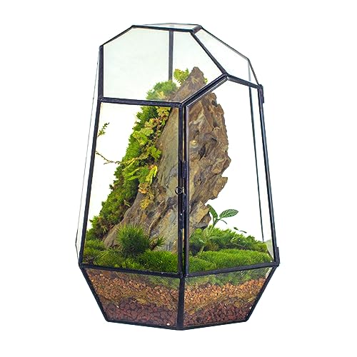 NCYP 25 cm Kleines Geometrisches Terrarium mit Tür, Schwarzer Unregelmäßiger Glas-Übertopf, Sukkulenten-Kakteen-Blumentopf, Heim-Garten-Dekoration, DIY-Geschenk (Ohne Pflanzen und Requisiten) von NCYP