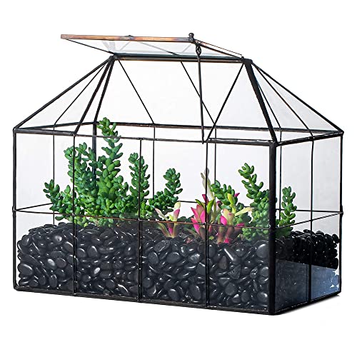 NCYP 25x13.5x20 cm Handmade Pflanzencontainer,Glas Geometrisch Pflanzen Terrarium, Schwarzes Gitter Haus-Form Gewächshaus Blumentopf, modernes Tischaufsatz (ohne Pflanzen) von NCYP