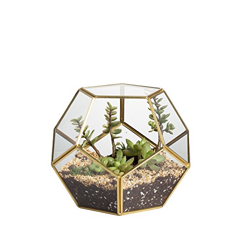 NCYP Handmade Blumentopf Gold Messing Tischplatte Geometrische Pentagon Kugelform Offenes Terrarium für Farn Moos Sukkulente Luft Pflanzenhalter Glas Display Pflanzgefäß (Keine Pflanzen enthalten) von NCYP