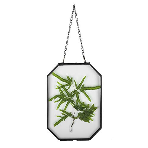 NCYP Wandbehang, schwarz, 12,7 x 17,8 cm, achteckig, Herbarium-Messing-Glasrahmen für gepresste Blumen, getrocknete Blumen, Poster, Doppelglas, schwebender Rahmen, nur Glasrahmen von NCYP