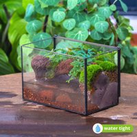 Watertight 8.3x4.7x5.5 "' Handgemachtes Glasterrarium Mit Deckel, Zinn Versiegelter Pflanzer, Für Kleinen Wasserteich, Mooslandschaften | Pflanzen Watertight 8.3x4.7x5.5 "' Handgemachtes Glasterrarium Mit Deckel, Zinn Versiegelter Pflanzer, Für Kleinen Wasserteich, Mooslandschaften | Pflanzen von NCYPgardenUK