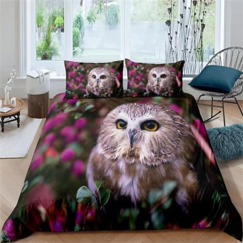 NDXRWDZR Bettwäsche 135x200 Eule Bettwäsche-Set mit Reißverschluss Schließung für Kinder Weicher Atmungsaktive Mikrofaser Bettbezug + 2 Kopfkissenbezug 80x80 cm NDXRWDZR Bettwäsche 135x200 Eule Bettwäsche-Set mit Reißverschluss Schließung für Kinder Weicher Atmungsaktive Mikrofaser Bettbezug + 2 Kopfkissenbezug 80x80 cm von NDXRWDZR