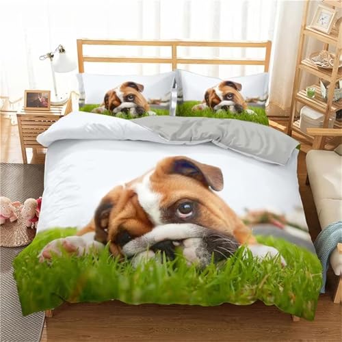 NDXRWDZR Bettwäsche 155x220 Mops Bettwäsche-Set mit Reißverschluss Schließung für Kinder Weicher Atmungsaktive Mikrofaser Bettbezug + 2 Kopfkissenbezug 80x80 cm NDXRWDZR Bettwäsche 155x220 Mops Bettwäsche-Set mit Reißverschluss Schließung für Kinder Weicher Atmungsaktive Mikrofaser Bettbezug + 2 Kopfkissenbezug 80x80 cm von NDXRWDZR