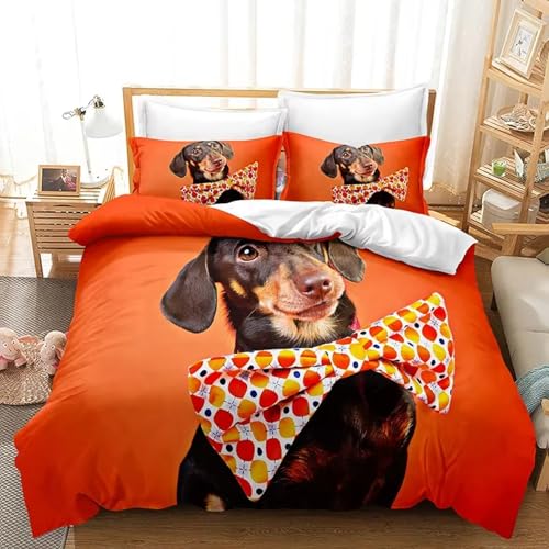 NDXRWDZR Bettwäsche 155x220 Orangefarbener Dackel Bettwäsche-Set mit Reißverschluss Schließung für Kinder Weicher Atmungsaktive Mikrofaser Bettbezug + 2 Kopfkissenbezug 80x80 cm von NDXRWDZR