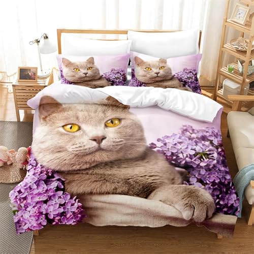 NDXRWDZR Bettwäsche 200x220 Süß Katze Bettwäsche-Set mit Reißverschluss Schließung für Erwachsene Kinder Weicher Atmungsaktive Mikrofaser Bettbezug + 2 Kopfkissenbezug 80x80 cm von NDXRWDZR