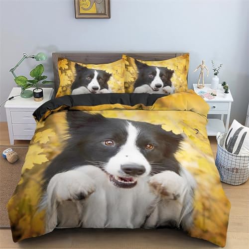 NDXRWDZR Bettwäsche 220x240 Gelber Border Collie Bettwäsche-Set mit Reißverschluss Schließung für Erwachsene Kinder Weicher Atmungsaktive Mikrofaser Bettbezug + 2 Kopfkissenbezug 80x80 cm NDXRWDZR Bettwäsche 220x240 Gelber Border Collie Bettwäsche-Set mit Reißverschluss Schließung für Erwachsene Kinder Weicher Atmungsaktive Mikrofaser Bettbezug + 2 Kopfkissenbezug 80x80 cm von NDXRWDZR