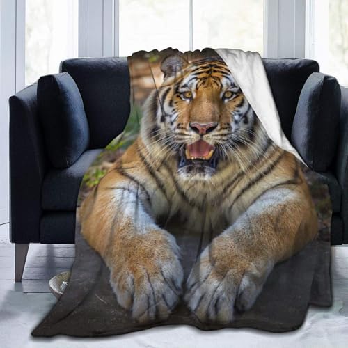 NDXRWDZR Decke Gelber Tiger Kuscheldecke Flauschig als Geschenke für Frauen Männer Extra Weich Warm Decke als Sofaüberwurf Tagesdecke oder Wohnzimmerdecke - 140 x 200 cm von NDXRWDZR