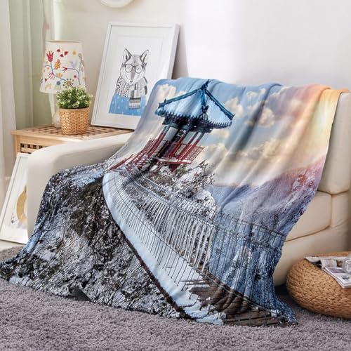 NDXRWDZR Decke Grauer Pavillon Kuscheldecke Flauschig als Geschenke für Frauen Männer Extra Weich Warm Decke als Sofaüberwurf Tagesdecke oder Wohnzimmerdecke - 180 x 220 cm von NDXRWDZR