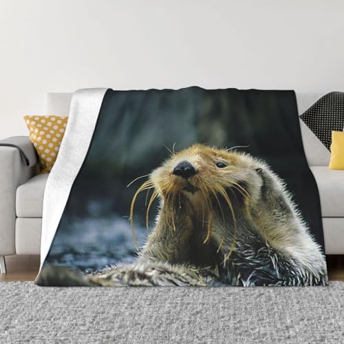 NDXRWDZR Decke Grauer Seeotter Kuscheldecke Flauschig als Geschenke für Frauen Männer Extra Weich Warm Decke als Sofaüberwurf Tagesdecke oder Wohnzimmerdecke - 180 x 220 cm von NDXRWDZR