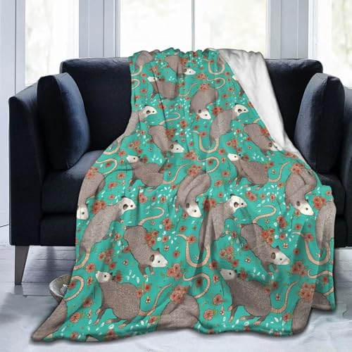 NDXRWDZR Decke Graues Opossum Kuscheldecke Flauschig als Geschenke für Frauen Männer Extra Weich Warm Decke als Sofaüberwurf Tagesdecke oder Wohnzimmerdecke - 180 x 220 cm NDXRWDZR Decke Graues Opossum Kuscheldecke Flauschig als Geschenke für Frauen Männer Extra Weich Warm Decke als Sofaüberwurf Tagesdecke oder Wohnzimmerdecke - 180 x 220 cm von NDXRWDZR