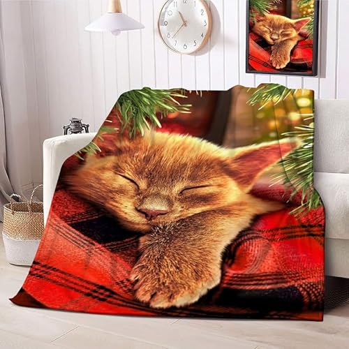 Kuscheldecke Flauschig Decke 150x200 3D Süß Warm Flanell Fleecedecke Rote Karierte Katze für Sofa und Bett, Weich Gemütlich Wohndecke als Tagesdecke Sofadecke Kniedecke von NEDZQY