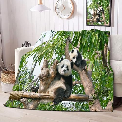 Kuscheldecke Flauschig Decke 150x200 3D- Tiere Warm Flanell Fleecedecke GrüNer Panda für Sofa und Bett, Weich Gemütlich Wohndecke als Tagesdecke Sofadecke Kniedecke von NEDZQY