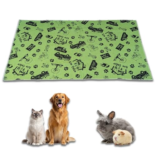 NEO SOLVO Trainingspads – Grun - 70x140cm – waschbar & Reusable PIPI Pads – saugfähig, wasserdicht, rutschfest – für Hunde, Katzen, Welpen NEO SOLVO Trainingspads – Grun - 70x140cm – waschbar & Reusable PIPI Pads – saugfähig, wasserdicht, rutschfest – für Hunde, Katzen, Welpen von NEO SOLVO
