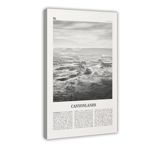 Canyonlands Nationalpark-Druck, Schwarz-Weiß, Utah, USA, USA, Stadtreise, Landschaft, Leinwand, modernes Poster, Wandkunstdrucke, Gemälde, Wohnzimmer, Schlafzimmer, Dekoration, 60 x 90 cm Canyonlands Nationalpark-Druck, Schwarz-Weiß, Utah, USA, USA, Stadtreise, Landschaft, Leinwand, modernes Poster, Wandkunstdrucke, Gemälde, Wohnzimmer, Schlafzimmer, Dekoration, 60 x 90 cm von NEOHI